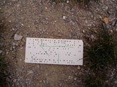pa190034.jpg