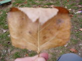 pa190066.jpg
