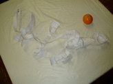 pa200009.jpg
