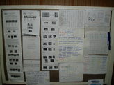 pa200054.jpg