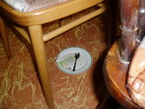 pa230029.jpg