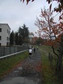 dscn4451.jpg