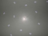 dscn4488.jpg