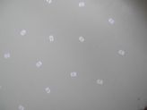 dscn4489.jpg