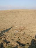 dscn4559.jpg