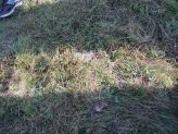 dscn4568.jpg