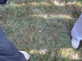 dscn4569.jpg