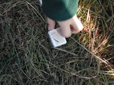 dscn4564.jpg