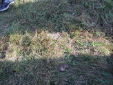 dscn4568.jpg
