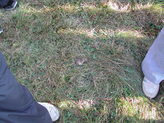 dscn4569.jpg