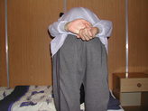 dscn4613.jpg