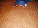 p1010037.jpg