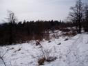 p1010138.jpg