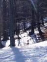 p1010055.jpg