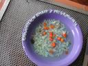 dscn2986.jpg