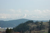 dsc_0101.jpg
