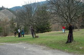 dsc_0081.jpg