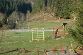 dsc_0064.jpg