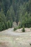 DSC_0019.JPG